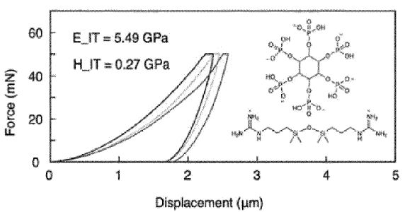SupramolPlasticWO2024.jpg