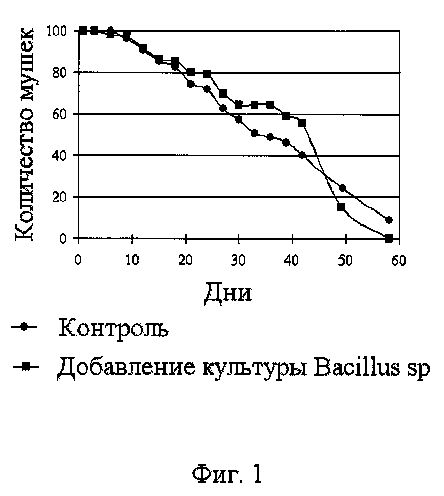 wo2012a.jpg
