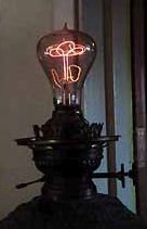 shelby-bulb1s.jpg