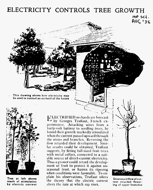 PopSci1935ECTrees.gif