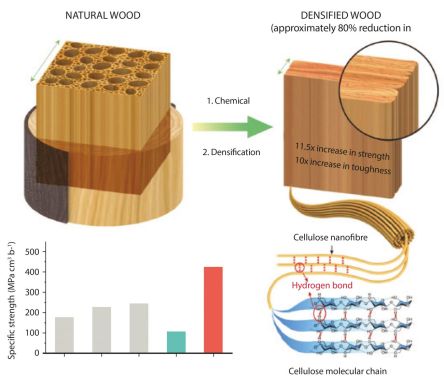 NatureSuperwood.jpg