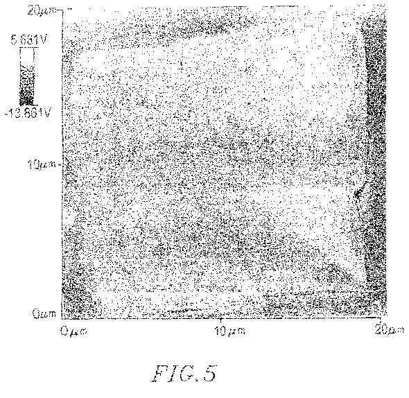 us8383d.jpg