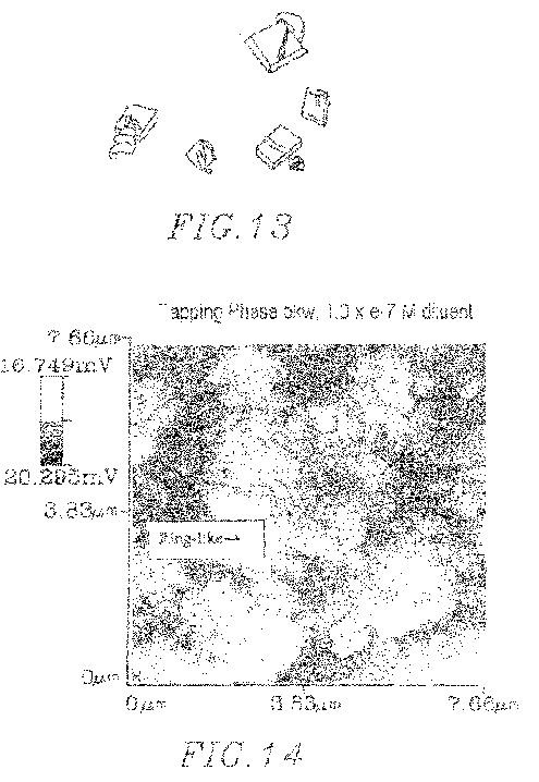 us8383k.jpg