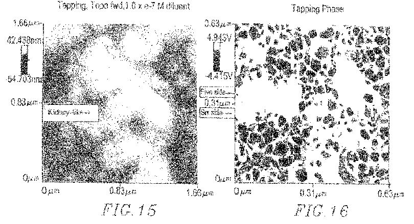 us8383l.jpg