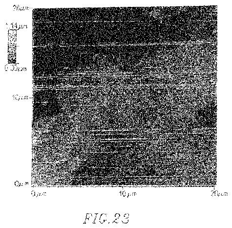 us8383p.jpg
