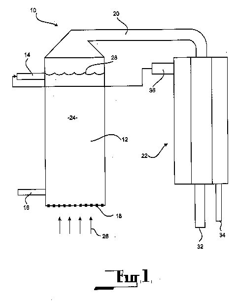 fig1.jpg