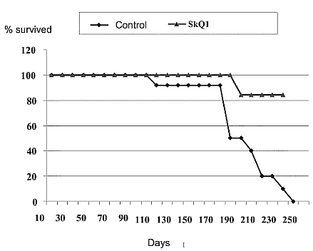 fig3.jpg