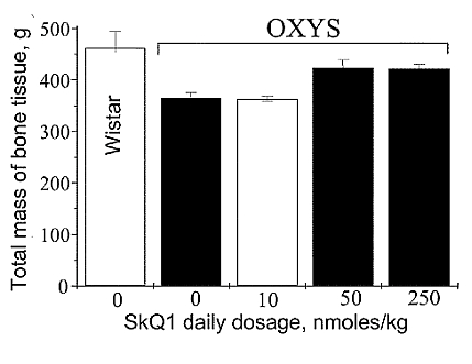 fig4.jpg