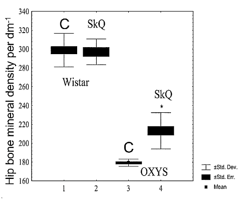 fig5.jpg