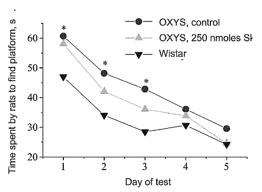 fig7.jpg