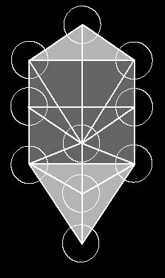 treeoflife2.jpg