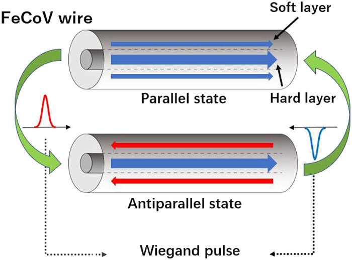 SchematicsmagnetizationstatesWiegand-wire.jpg