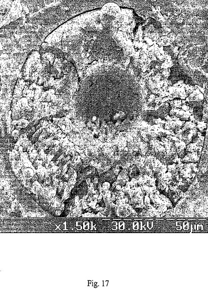 fig17.jpg