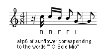 0sunflwr.gif