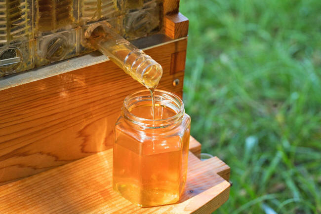 bees3.jpg