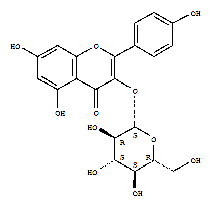astragalin.png