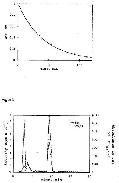 de102a.JPG