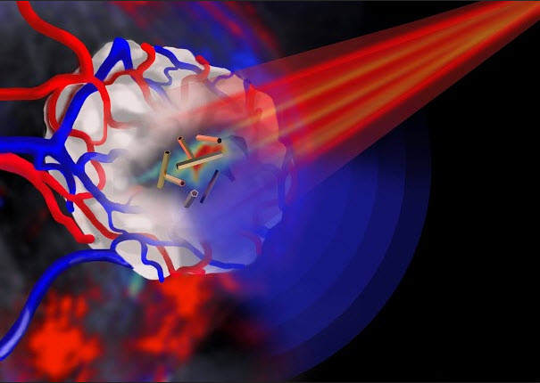 Gold-nanotubes.jpg
