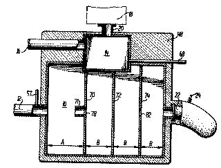 3911881.jpg