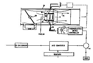 5038742.jpg