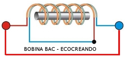 baccoil1.jpg
