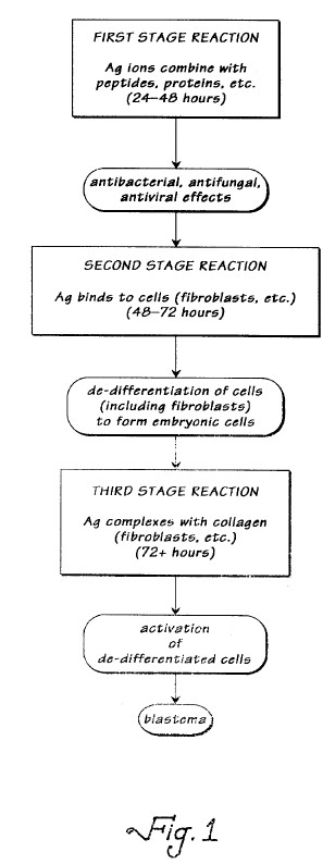 fig1.jpg