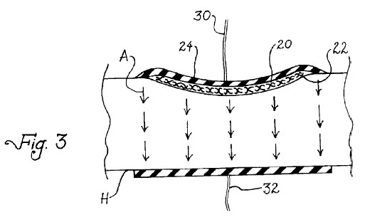 fig3.jpg