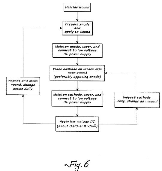 fig6.jpg