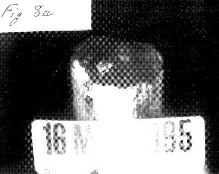 fig8a.jpg