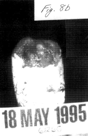 fig8b.jpg