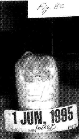 fig8c.jpg