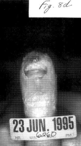 fig8d.jpg