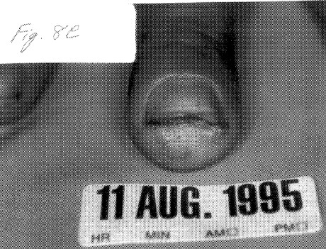 fig8e.jpg