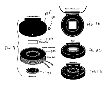fig11.jpg