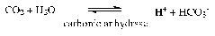 1eq11.gif