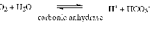 1eq12.gif