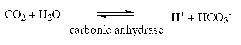 1eq13.gif