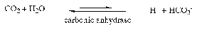 1eq5.gif