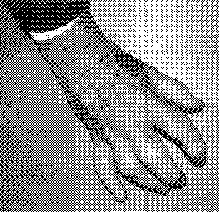 6048b.gif