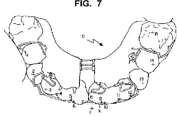fig7.jpg