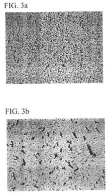 us6541978e.jpg