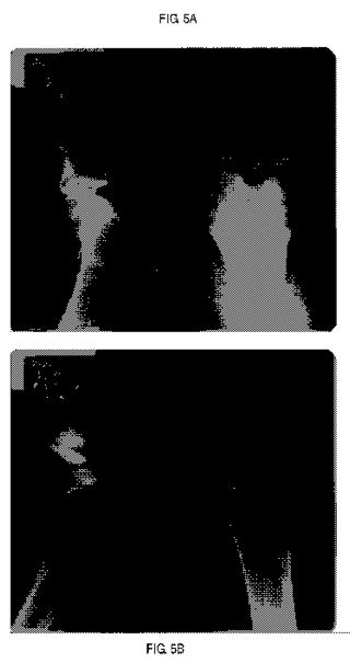 us4.jpg