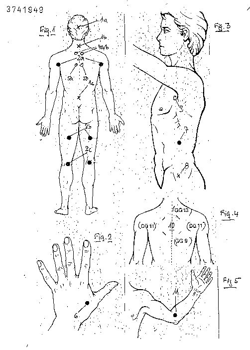de3741949a.jpg