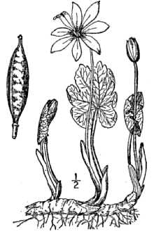 usda3.jpg