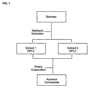 fig1.jpg