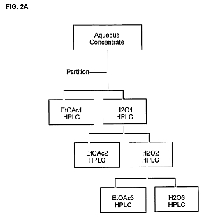 fig2.jpg