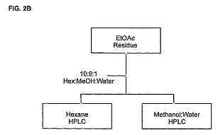 fig3.jpg