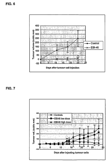 fig5.jpg