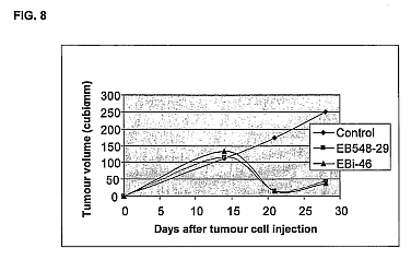 fig6.jpg