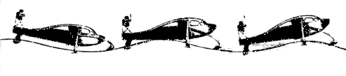 1bug2.gif